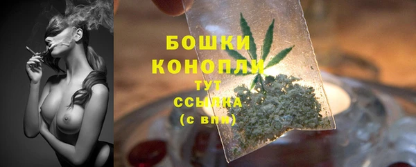 2c-b Богородск
