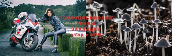 таблы Богородицк