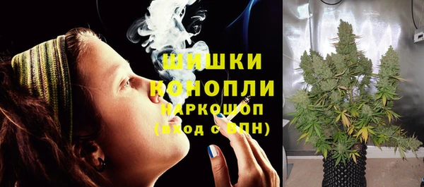 дмт Тайга