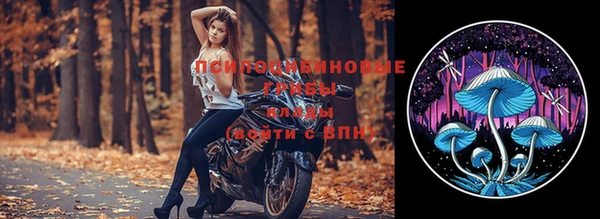 шишки Богданович
