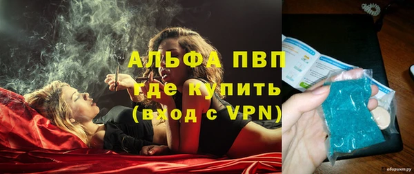 шишки Богданович