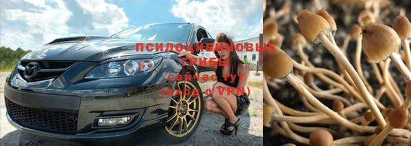 шишки Богданович