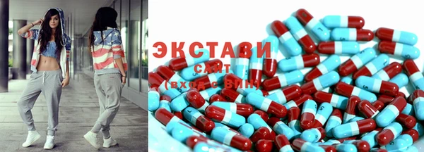 таблы Богородицк