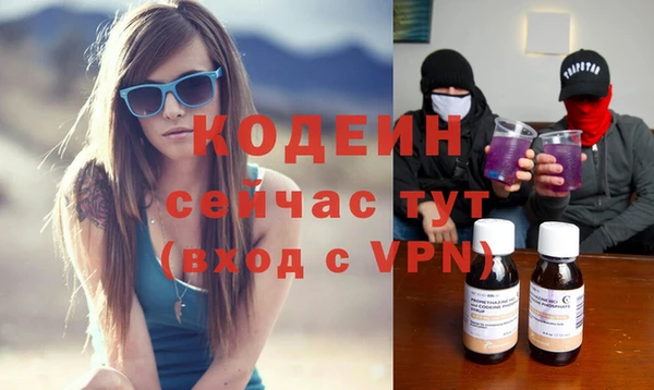 таблы Богородицк