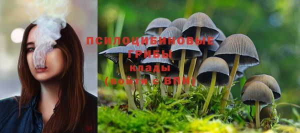 шишки Богданович