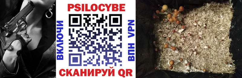 Галлюциногенные грибы ЛСД  закладка  Киреевск 